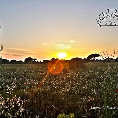 Agriturismo San Matteo タルクイーニア エクステリア 写真