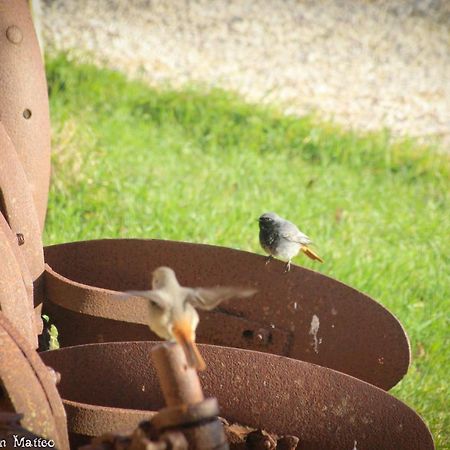 Agriturismo San Matteo タルクイーニア エクステリア 写真