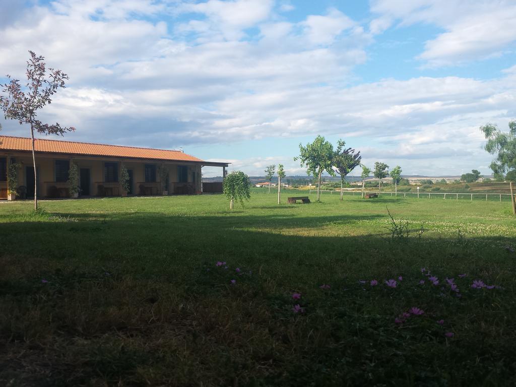 Agriturismo San Matteo タルクイーニア 部屋 写真