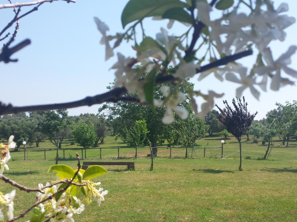Agriturismo San Matteo タルクイーニア 部屋 写真