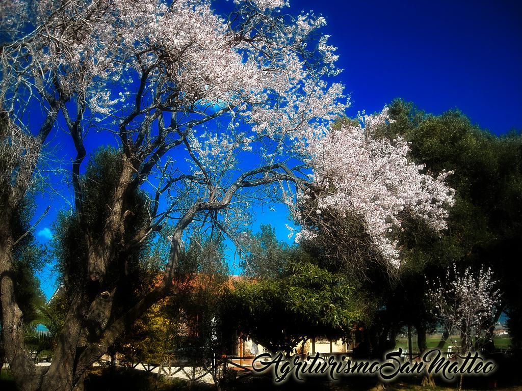 Agriturismo San Matteo タルクイーニア エクステリア 写真