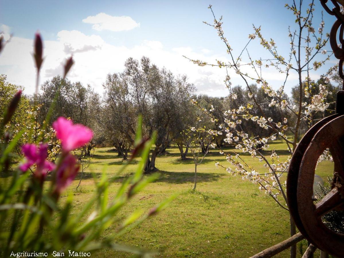 Agriturismo San Matteo タルクイーニア エクステリア 写真