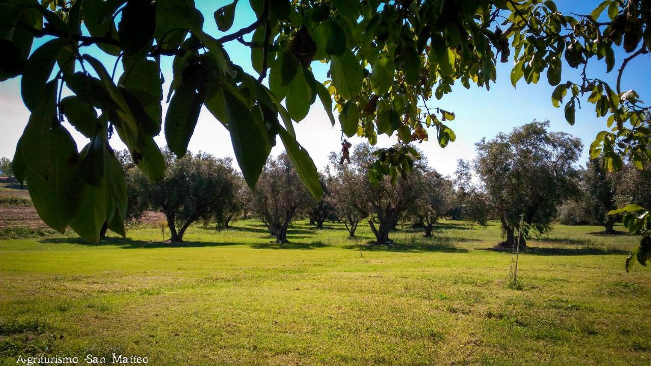 Agriturismo San Matteo タルクイーニア エクステリア 写真