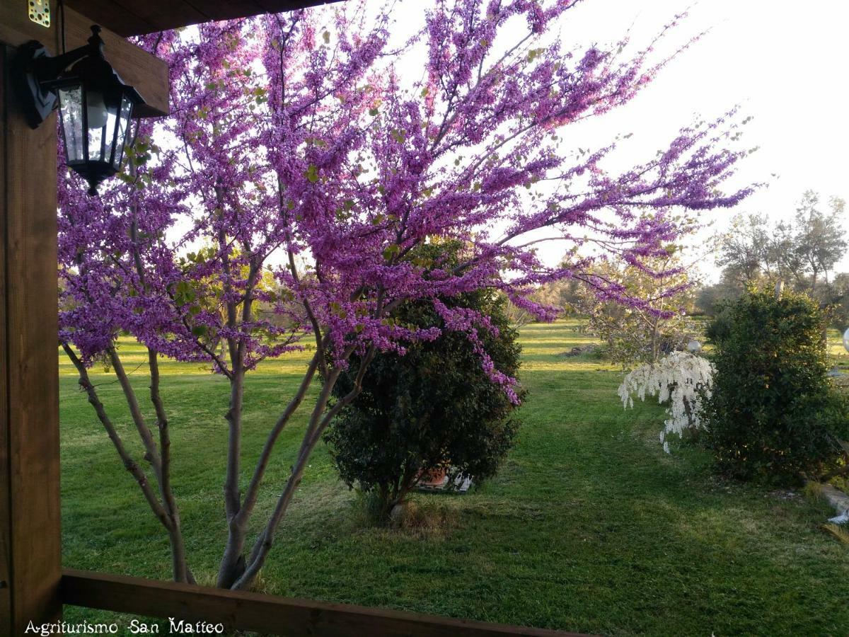 Agriturismo San Matteo タルクイーニア エクステリア 写真