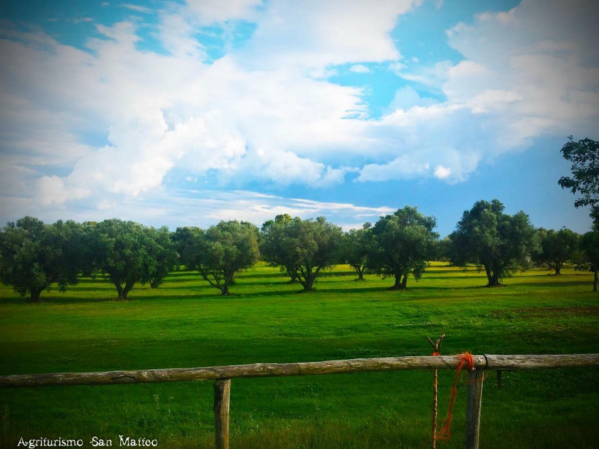 Agriturismo San Matteo タルクイーニア エクステリア 写真