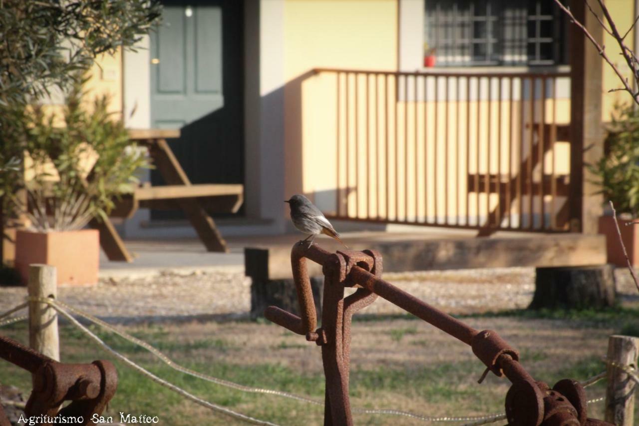 Agriturismo San Matteo タルクイーニア エクステリア 写真