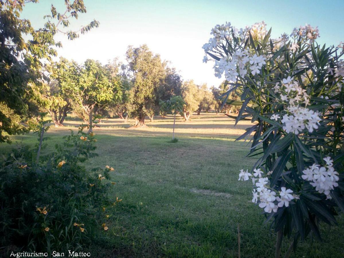 Agriturismo San Matteo タルクイーニア エクステリア 写真