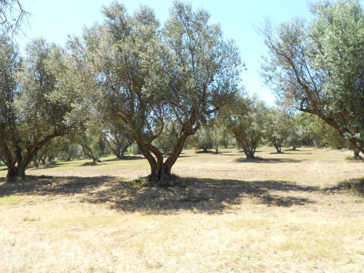 Agriturismo San Matteo タルクイーニア エクステリア 写真