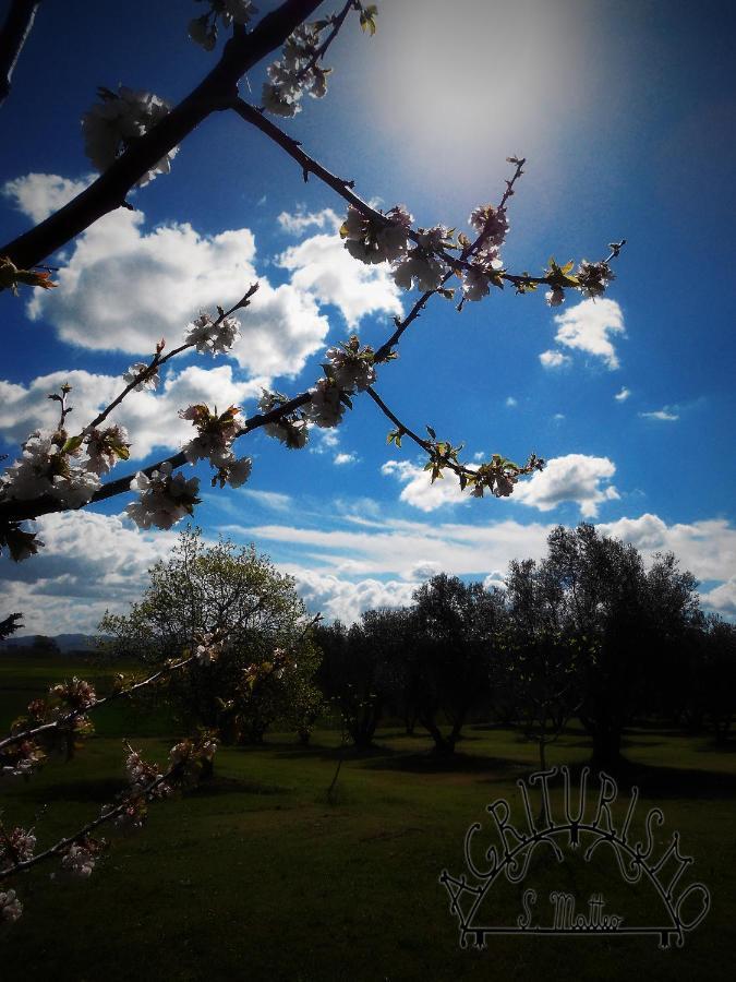 Agriturismo San Matteo タルクイーニア エクステリア 写真