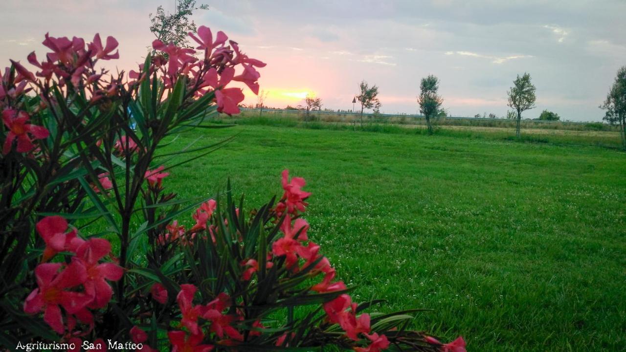 Agriturismo San Matteo タルクイーニア エクステリア 写真